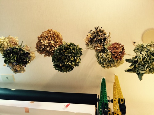 sp-000177500s1419025498