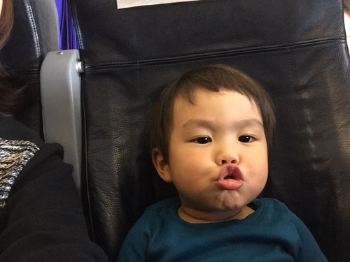 sp-006620100s1417201875