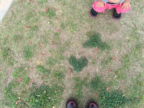 sp-070555500s1430233344