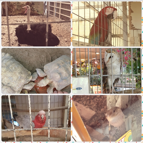 sp-029180500s1439989168